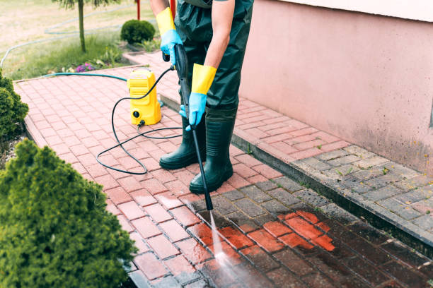 Best Animal Enclosure Cleaning  in Niagara, WI