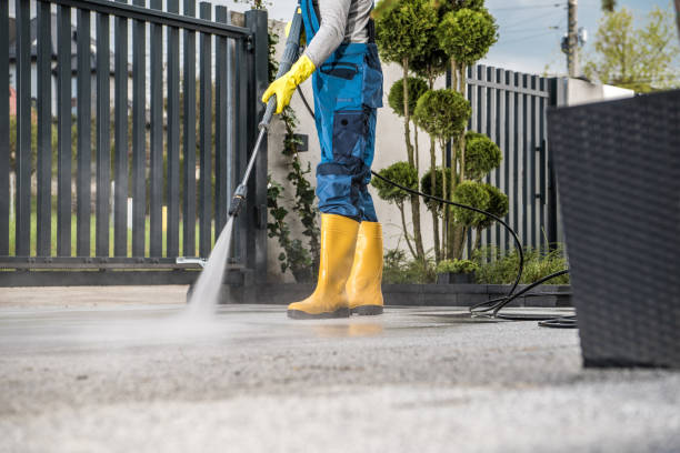Best Rust Removal  in Niagara, WI
